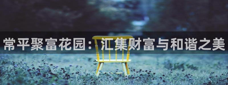 2元网