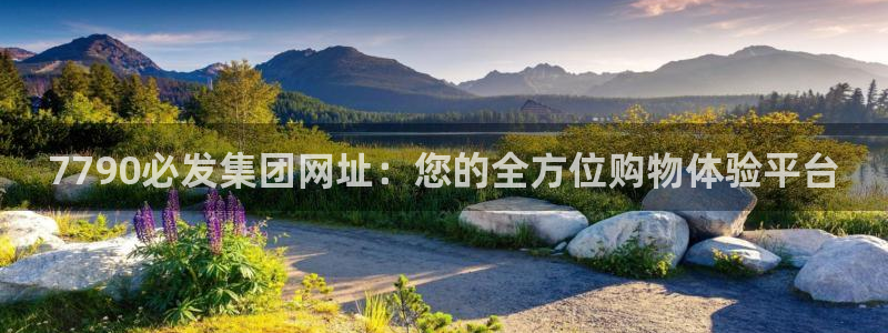 2元网河南二十二选五：7790必发集团网址：您的全方位购物体验平台