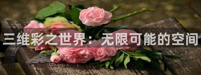 2元网走势图表：三维彩之世界：无限可能的空间