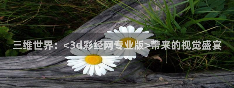 2元网走势图大全：三维世界：<3d彩经网专业版>带来的视觉盛宴