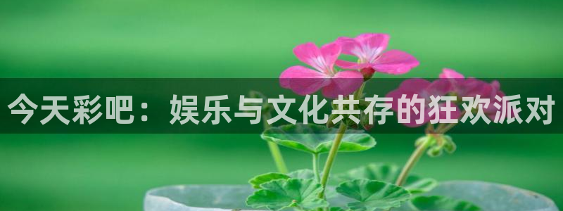 2元网：今天彩吧：娱乐与文化共存的狂欢派对