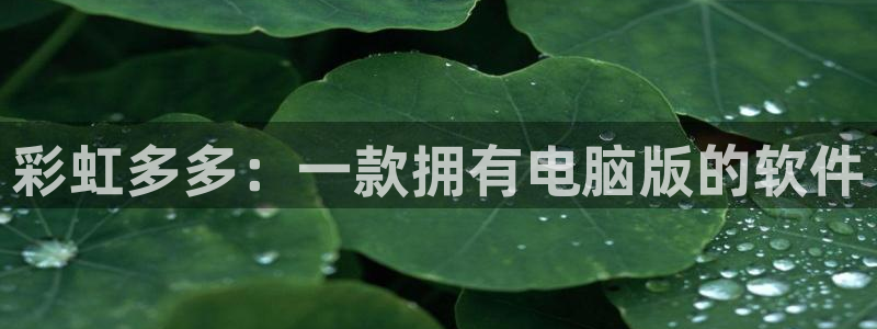 2元网：彩虹多多：一款拥有电脑版的软件